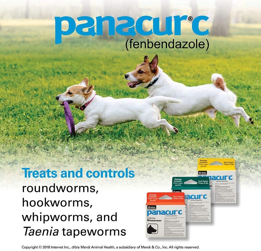 Panacur C Canine Dewormer (Fenbendazole), 1 Gram, Yellow, 3 Count (Pack of 1)
