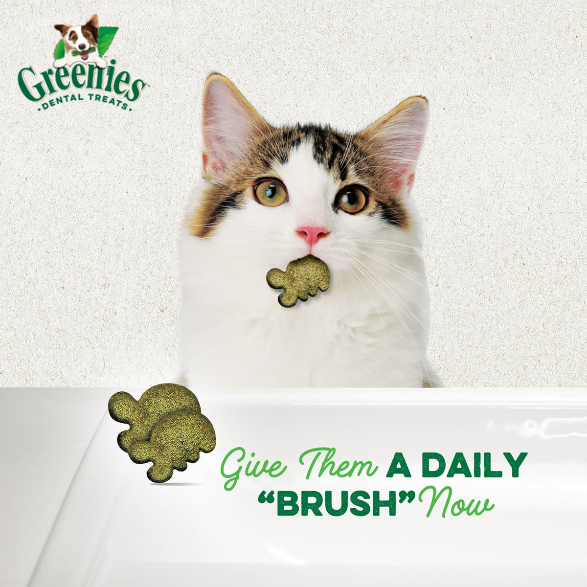Greenies Cat Treats, Feline Veterinarian-Recommended Adult Natural Dental Treats, Catnip Flavor, 9.75 oz. Tub