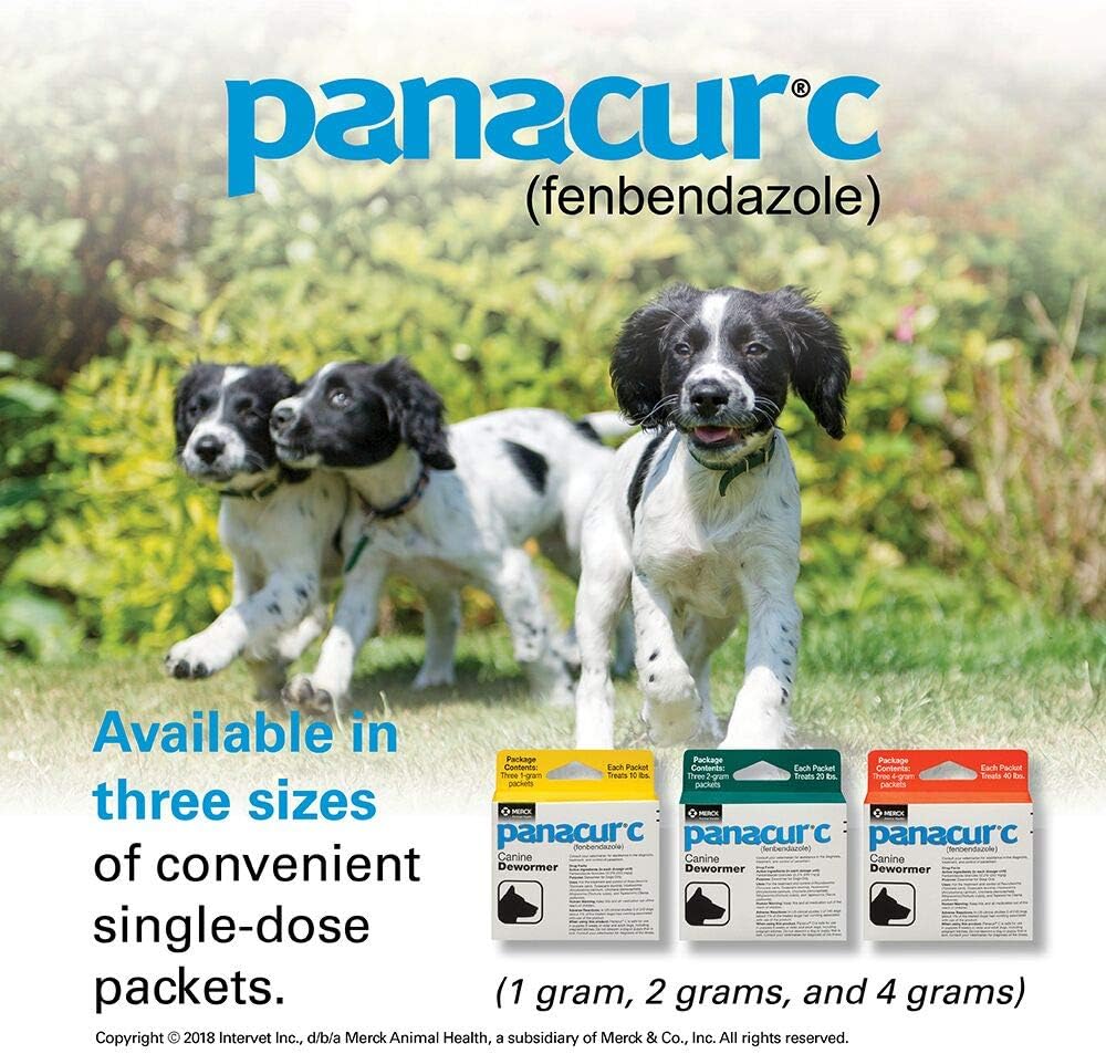 Panacur C Canine Dewormer (Fenbendazole), 1 Gram, Yellow, 3 Count (Pack of 1)