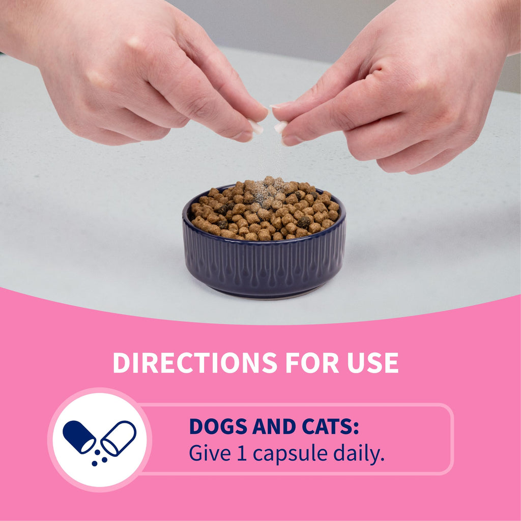 Nutramax Proviable Probiotics for Dogs and Cats, Daily Digestive Health Supplement with Multiple Strains of Bacteria, Cat and Dog Probiotics Plus Prebiotics, 30 Capsules