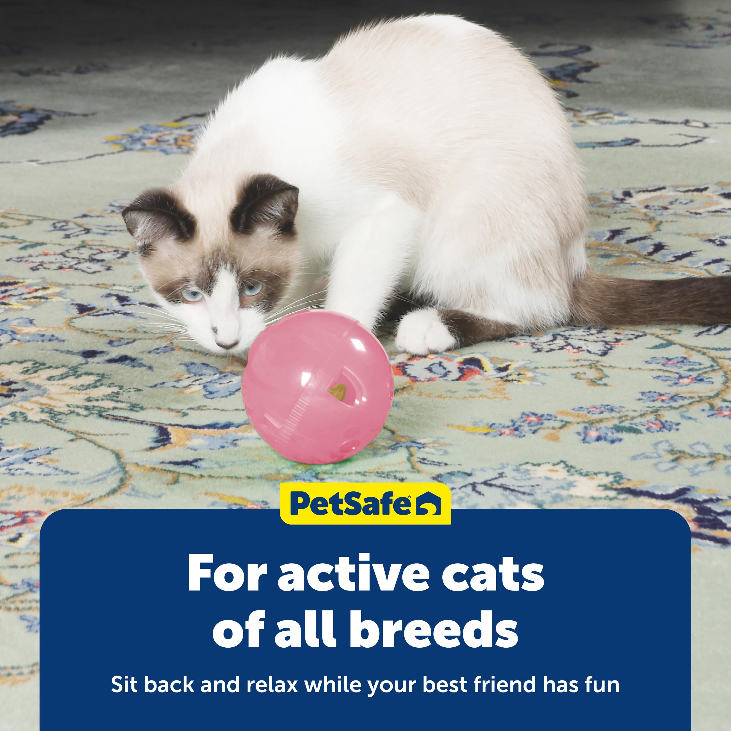 PetSafe SlimCat Interactive Feeder - Combines Play with Mealtime - Adjustable Portions - BPA-Free Plastic - Slow Feeder for Digestion - Lightweight, Dishwasher-Safe Toy - Blue