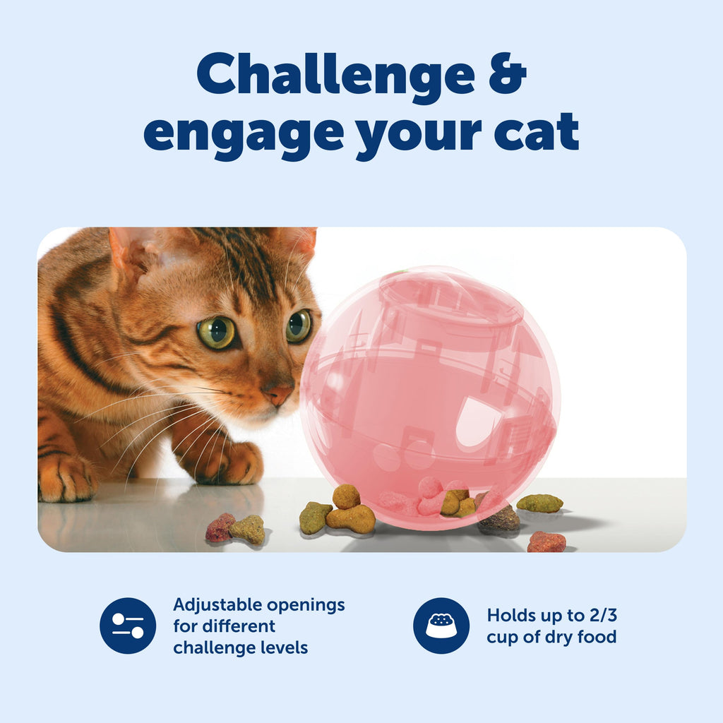 PetSafe SlimCat Interactive Feeder - Combines Play with Mealtime - Adjustable Portions - BPA-Free Plastic - Slow Feeder for Digestion - Lightweight, Dishwasher-Safe Toy - Blue