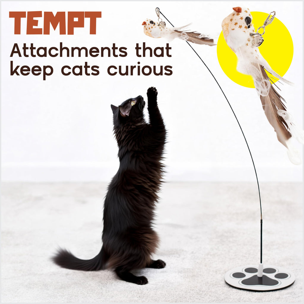 18-Piece Interactive Cat Toys for Indoor Cats -PATENTED Heavy Duty Self-Holding Floor Base & Suction Cup - Durable Feather Wand Bird Simulation Self Play Kitten Toys for Bored Adult Cats Juguete Gato