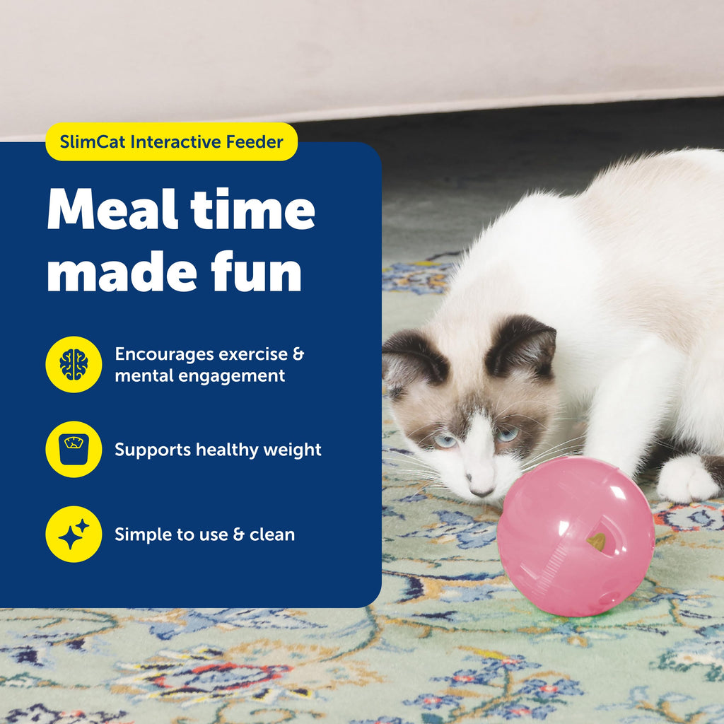 PetSafe SlimCat Interactive Feeder - Combines Play with Mealtime - Adjustable Portions - BPA-Free Plastic - Slow Feeder for Digestion - Lightweight, Dishwasher-Safe Toy - Blue