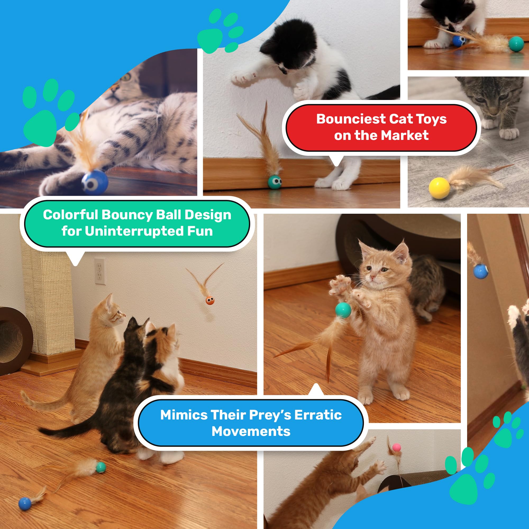 Bouncy Tails 5 Pack Interactive Bouncy Ball with Natural Feathers for Indoor Cats and Kittens who Love to Play and Have Fun.