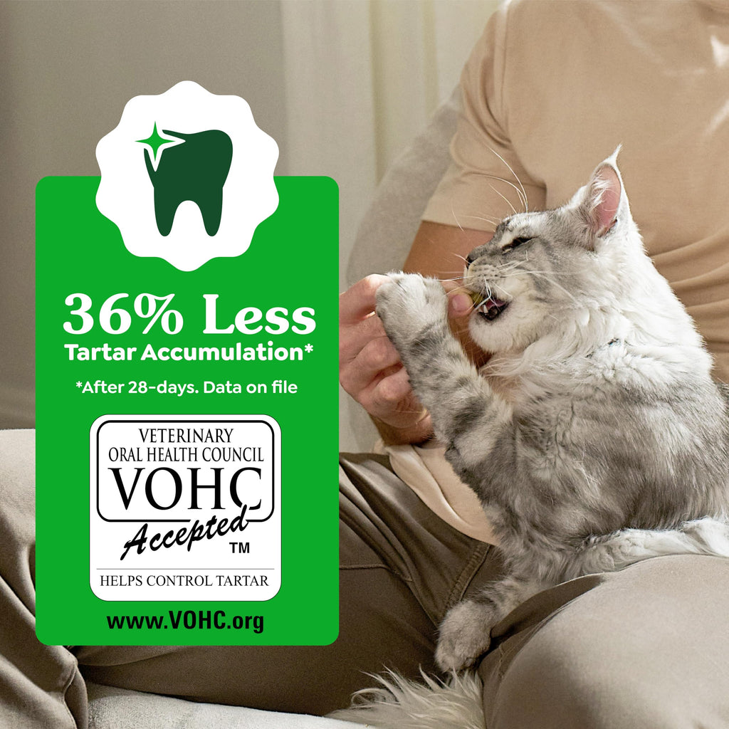 Greenies Cat Treats, Feline Veterinarian-Recommended Adult Natural Dental Treats, Catnip Flavor, 9.75 oz. Tub