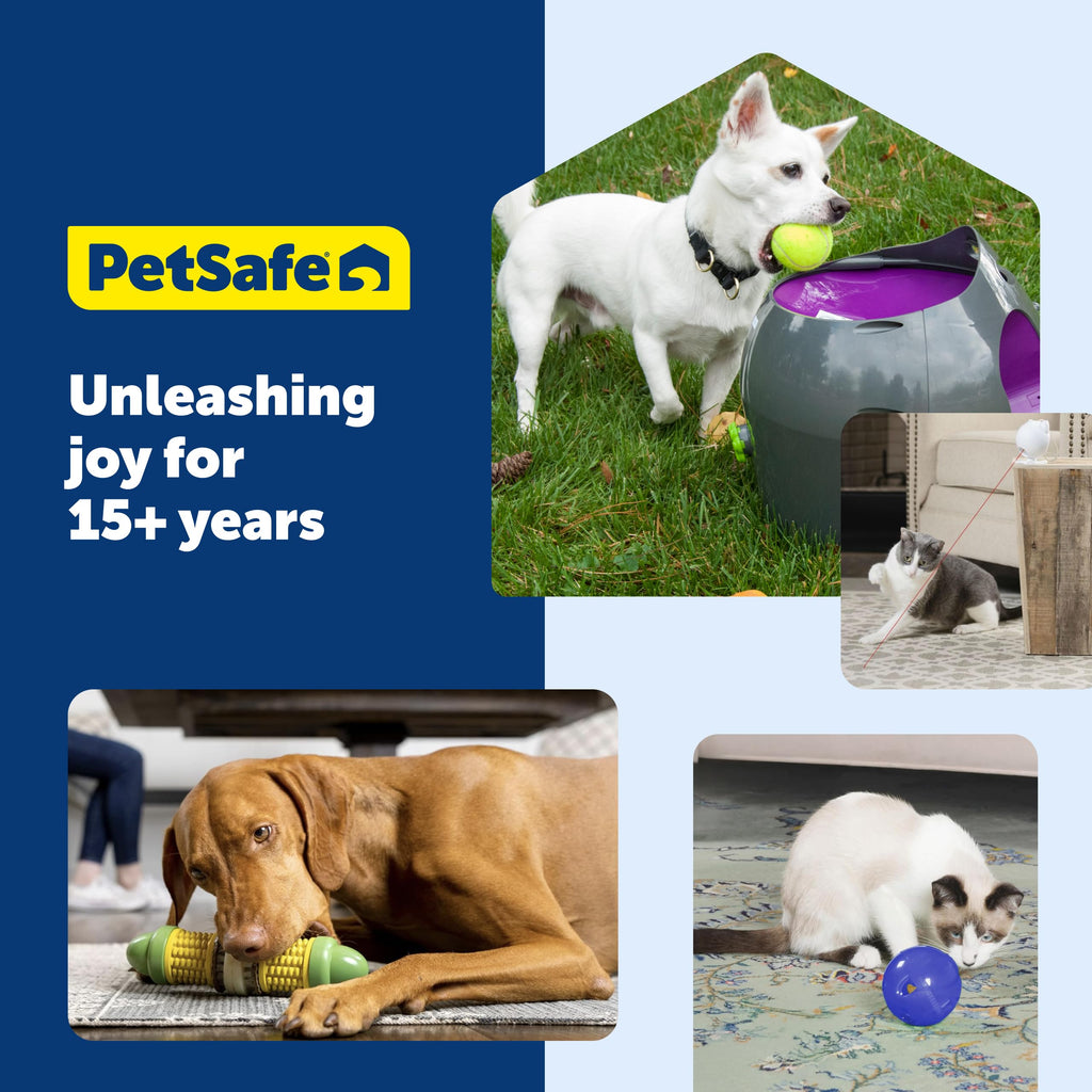 PetSafe SlimCat Interactive Feeder - Combines Play with Mealtime - Adjustable Portions - BPA-Free Plastic - Slow Feeder for Digestion - Lightweight, Dishwasher-Safe Toy - Blue
