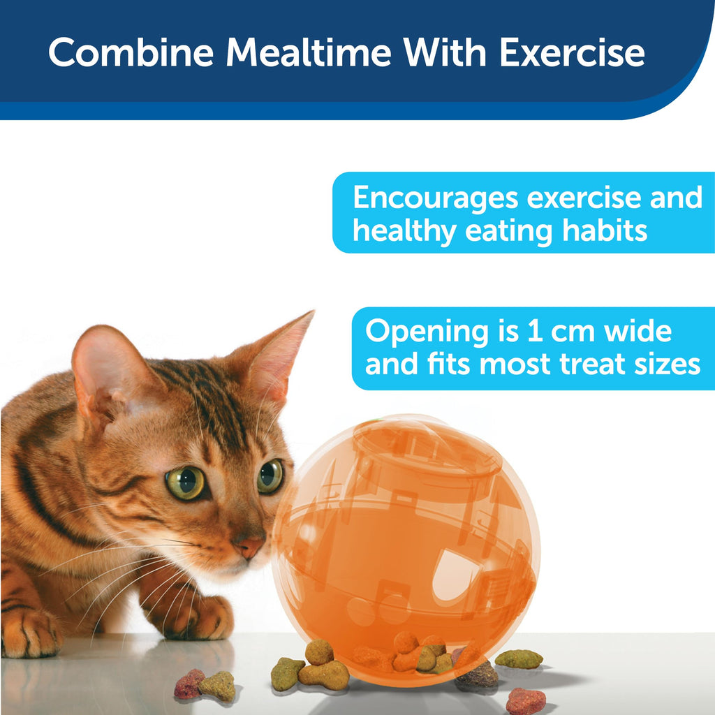 PetSafe SlimCat Interactive Feeder - Combines Play with Mealtime - Adjustable Portions - BPA-Free Plastic - Slow Feeder for Digestion - Lightweight, Dishwasher-Safe Toy - Blue
