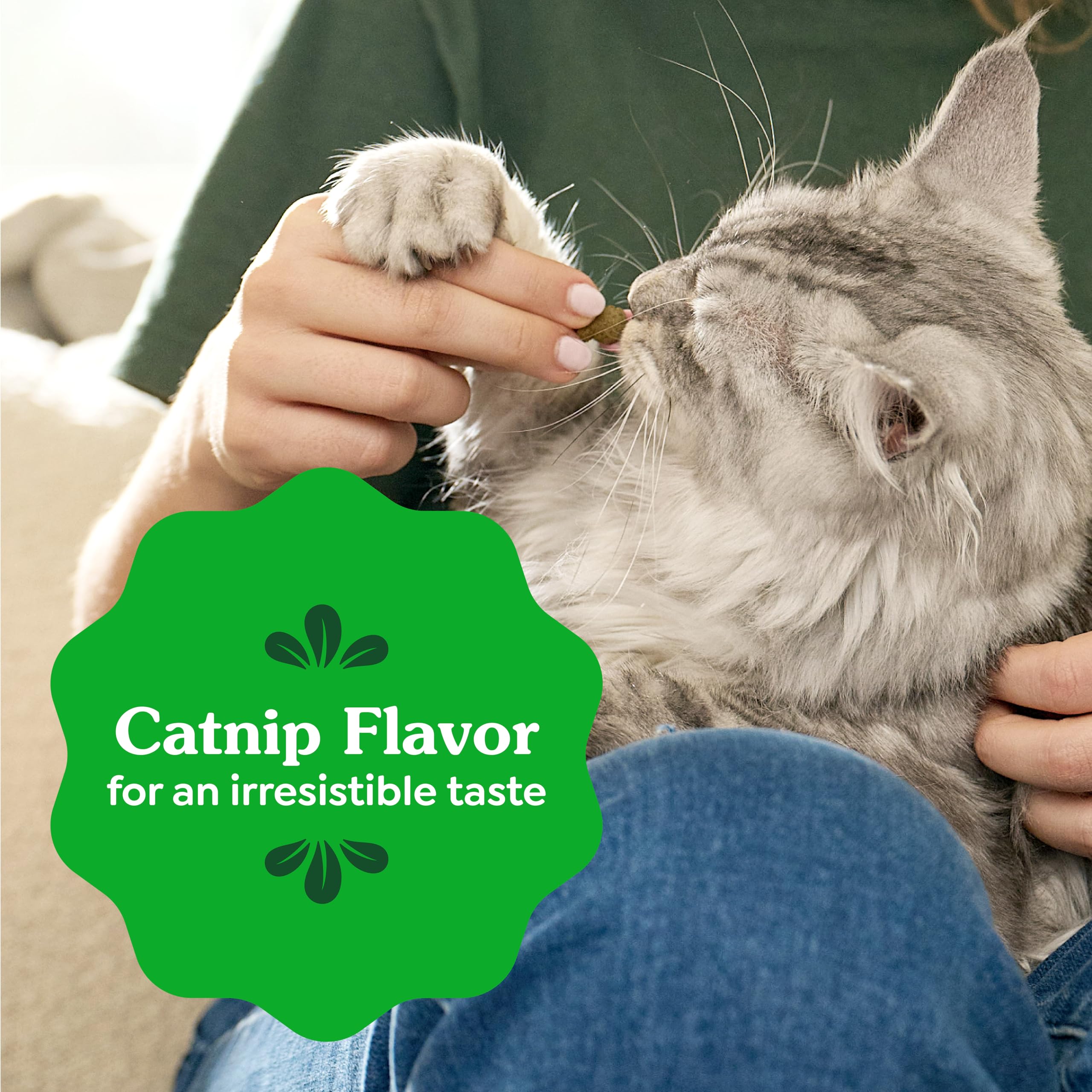 Greenies Cat Treats, Feline Veterinarian-Recommended Adult Natural Dental Treats, Catnip Flavor, 9.75 oz. Tub