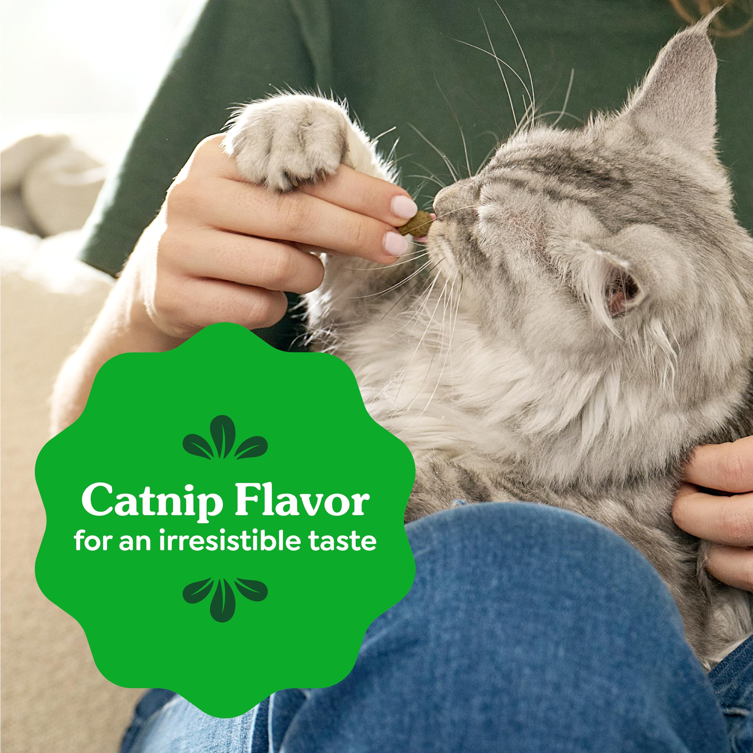 Greenies Cat Treats, Feline Veterinarian-Recommended Adult Natural Dental Treats, Catnip Flavor, 9.75 oz. Tub